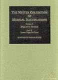 The Ciba Collection of Medical Illustrations Vol. 3, Pt. 2 : Digestive System: Lower Digestive Tract