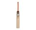 GUNN & MOORE Epic 101 fÃ¼r Erwachsene Cricket SchÃ¤ger