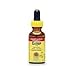 Nature's Answer Catnip Herb, 1-Ounce