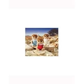 Calico Critters Spotter Meerkat Triplets