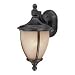 13-1/4-Inch Outdoor Wall Light