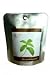 Kitchen & Housewares : The Pocket Garden - Organic Herbs - Organic Mint