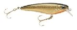 Berkley Frenzy Firestick Medium (FS9-M-BGD) Lure