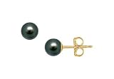 Akoya Cultured Pearl Stud Earrings : 14K Yellow Gold 6 MM