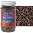 Freeze Dried Bloodworms - 0.5 oz.