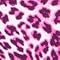 Fuchsia Mix