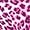 Fuchsia Mix