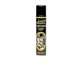 Dylon Sheraton Caretaker Aero.300ml