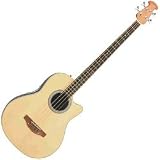 Acoustic Bass Guitars