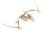 Pteranodon Woodkit