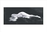 12 X 18 Stretched Canvas Poster Asleep on a Fur Rug