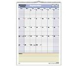 2008 Yearly Erasable Wall Organizer, 12 Monthly Sections, Black Pen, 32x48 VIOA152