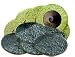 Automotive : 3M Automotive Products (3M 7474) 2" Scoth-Brite Roloc Gasket Removal Disc - 10 Pack