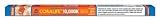 15 Watt 10,000 K Fluorescent Bulb 18