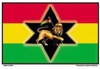Richard Biffle - Rasta Lion Flag - Sticker / Decal