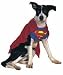 Search : Pet Superman Dog Costume For Small Dogs