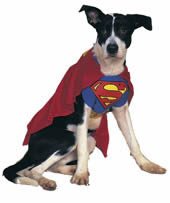  Superman Medium Pet Costume
