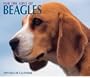 Cal 99 for the Love of Beagles Calendar