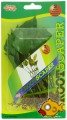 PLANT ANUBIAS NANA 8 2PK