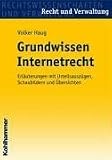 Grundwissen Internetrecht: Erläuterungen mit Urteilsauszügen, Schaubildern und Übersichten