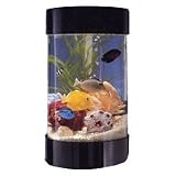 Midwest Tropical AquaRound Aquarium