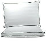 Pedic Solutions Set of 2 Memory Foam & Feather Pillows