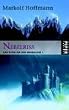 Cover Nebelriss: Das Zeitalter der Wandlung 1