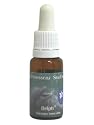 イルカ(デルフ)エッセンス 15ml