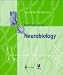 Neurobiology and The Human Brain: Windows-Version (Biology: Brain and Behaviour)
