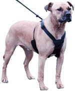 Non Pull Harness - Stop Your Dog Pulling - Small (Jack Russel, Cairn etc.) - Black