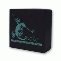 Gecko by Jim Rosenbaum