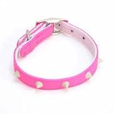 PETSTEP �W�F���[�X�p�C�N�J���[ 15 M �s���N 16335