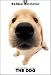 golden retriever - THE DOG Artlist - Golden Retriever - Hand Book - 6 Postcards