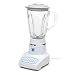 Biggest Loser 10 Speed Blender with Glass Jar 1 ea 