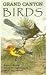 Books : Grand Canyon Birds: Historical Notes, Natural History and Ecology