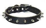 Omni Pet No.38LKS 3/8in Spiked Latigo Leather Collar 10in Black