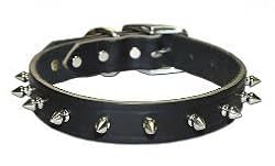 Omni Pet No.12LK-BK12 Leather Spiked Latigo 1 Ply Collar 1/2inx12in Color Black