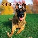 German Shepherds 2007 Wall Calendar