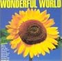 Wonderful World
