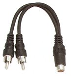 LEVITON RCA Plug To Two RCA Plugs