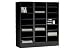 Literature Organizer Modular Storage Cabinet