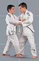 Adidas Adidas Judoanzug Junior 160