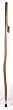 Sassafras Walking Stick