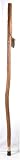 Sassafras Walking Stick