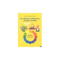 Von Pfingsten, Mittsommer, Zwergen und Elfen: Feste und Br�uche im Jahreskreis. Sommer