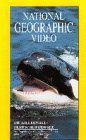 Die Killerwale: Herrscher der See - National Geo