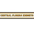 Univ. Central Florida Knights - Wallpaper Border