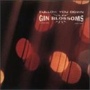 Gin Blossoms - Til I Hear It from You [LP Version] Lyrics - Zortam Music