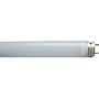 24" LED Tube Light Replacement Bulb-consumes only 10 watts and produces over 1000 lumens Color: Natural White