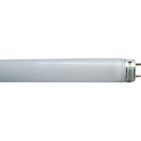24" LED Tube Light Replacement Bulb-consumes only 10 watts and produces over 1000 lumens Color: Natural White